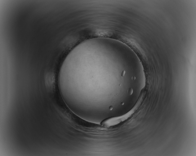 X0000088450260200705291518