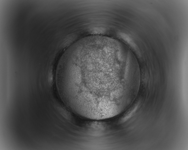 X0000088450261200705291518