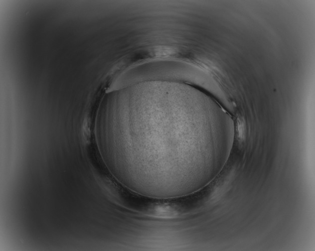 X0000088450264200705291518