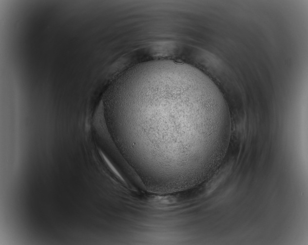 X0000088450277200705291518