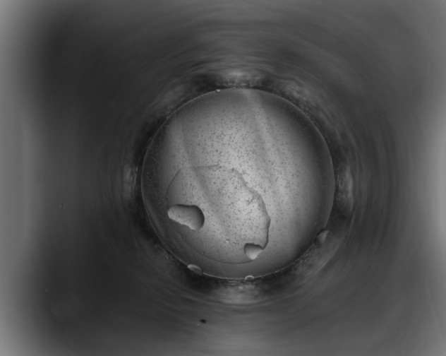 X0000088450278200705291518