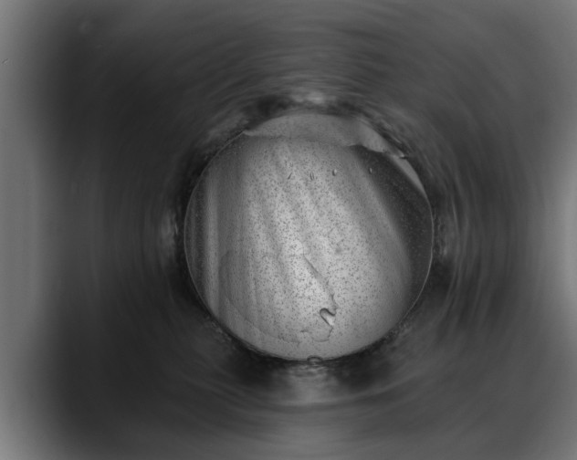 X0000088450279200705291518