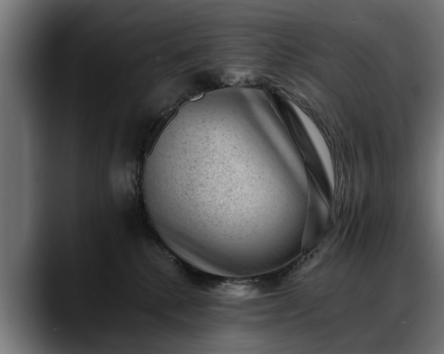 X0000088450280200705291518