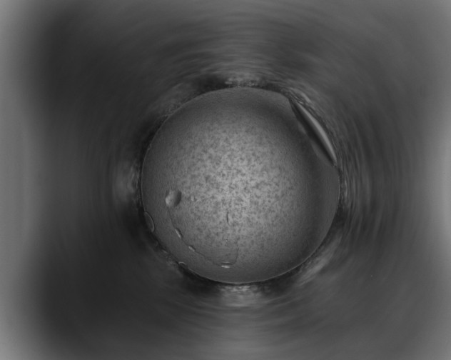 X0000088450281200705291518