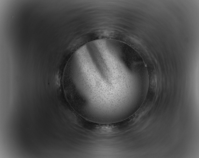 X0000088450282200705291518
