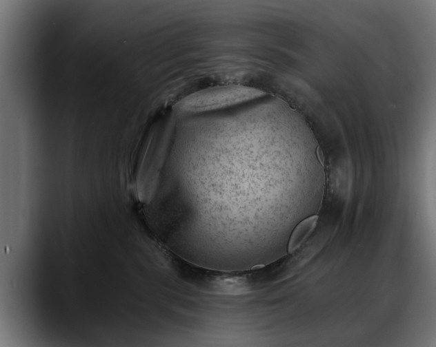 X0000088450283200705291518