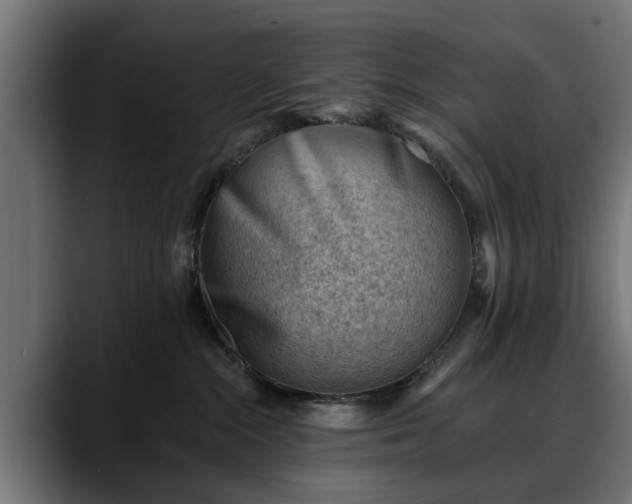 X0000088450284200705291518