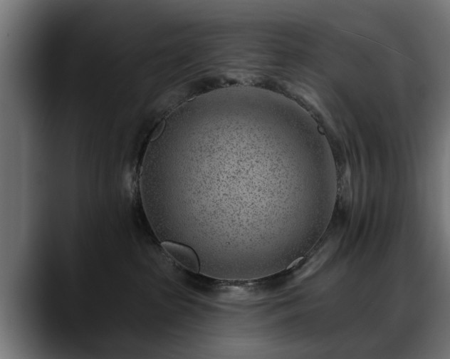 X0000088450285200705291518