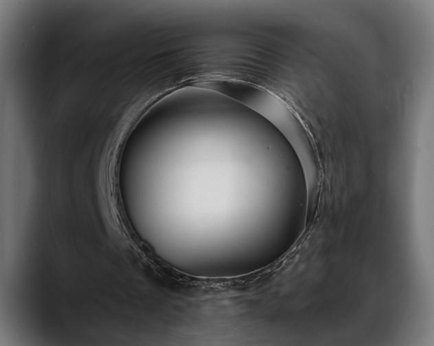 X0000088450289200705291517
