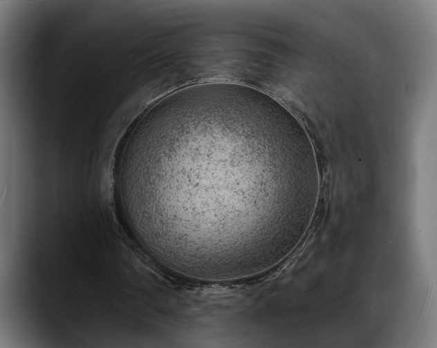 X0000088450290200705291517