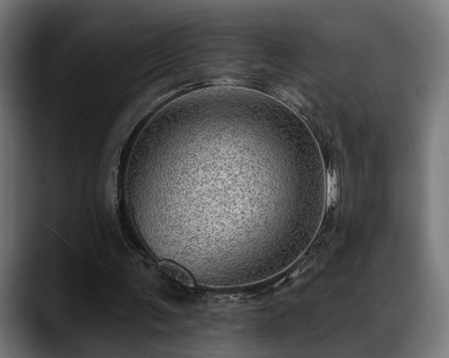 X0000088450291200705291517