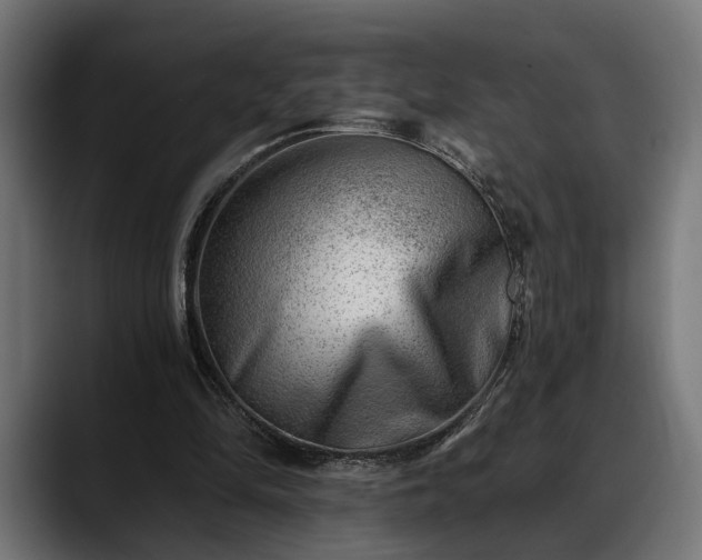 X0000088450294200705291517
