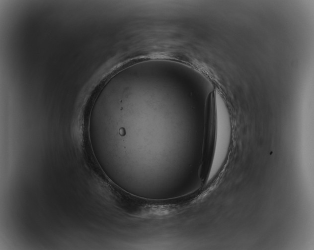 X0000088450295200705291517