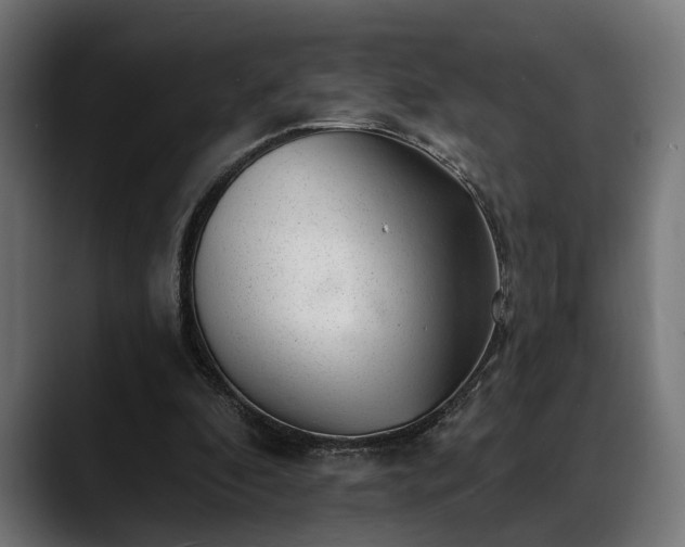 X0000088450296200705291517