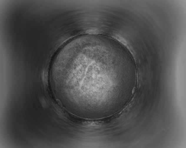 X0000088450297200705291517