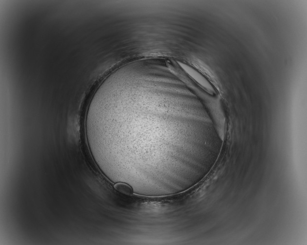 X0000088450298200705291517