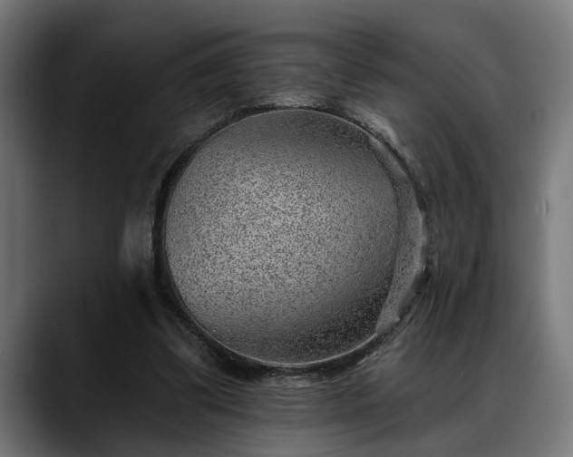X0000088450299200705291517