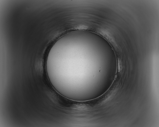 X0000088450300200705291517
