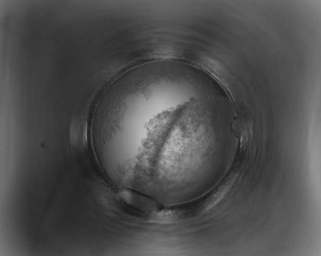 X0000088450301200705291517