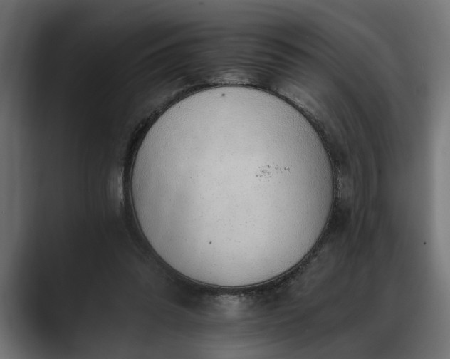 X0000088450302200705291517