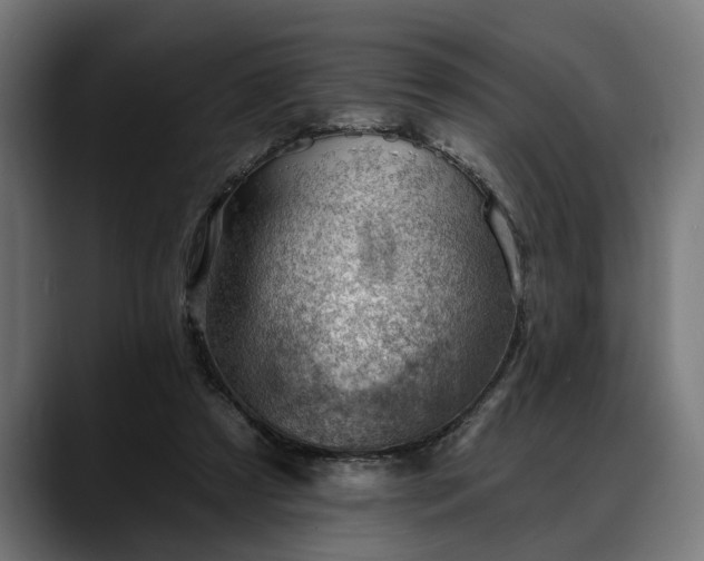 X0000088450305200705291517