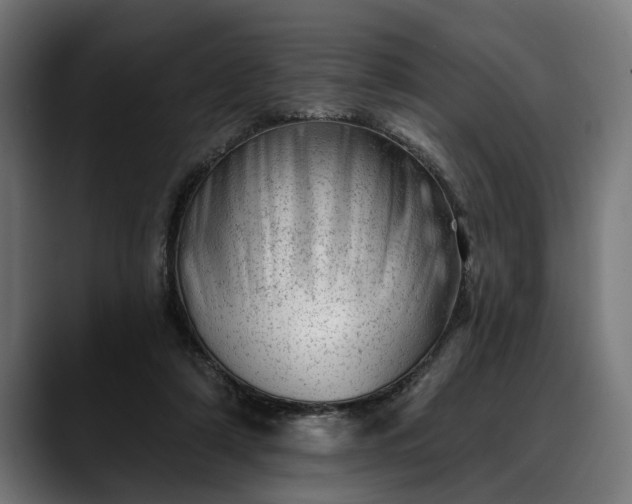 X0000088450306200705291517