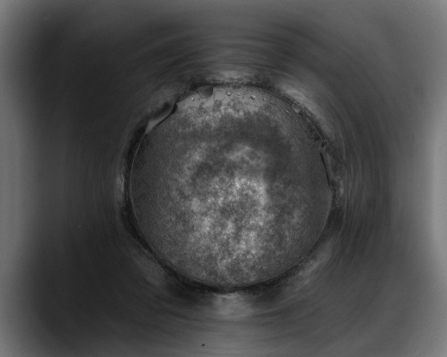 X0000088450309200705291517