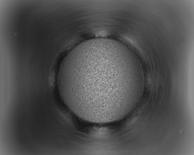 X0000088450311200705291517