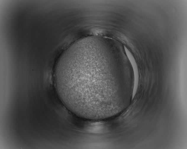 X0000088450313200705291517