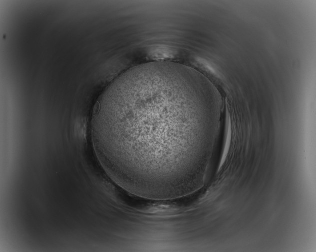 X0000088450315200705291517