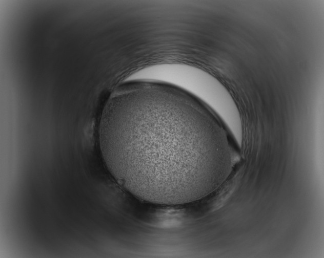 X0000088450319200705291517