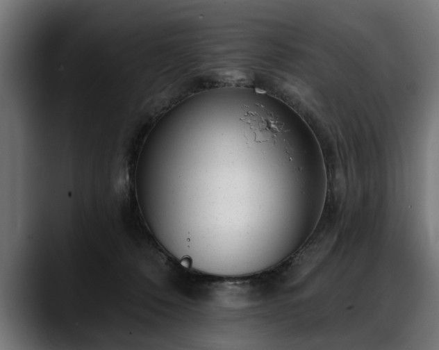 X0000088450320200705291517