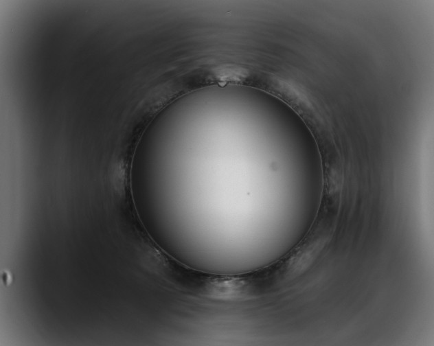 X0000088450321200705291517