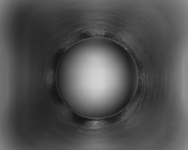 X0000088450323200705291517