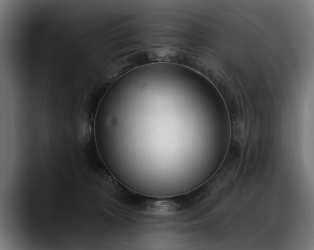 X0000088450324200705291517