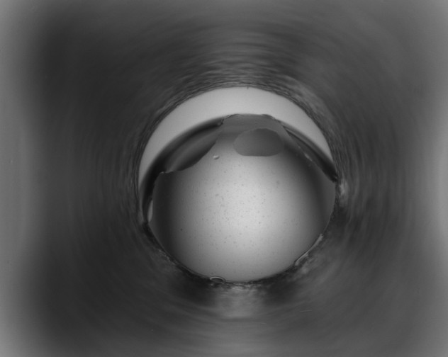 X0000088450329200705291517