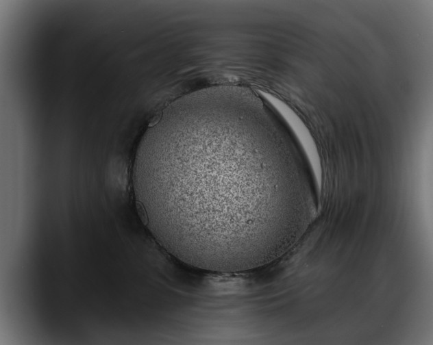 X0000088450331200705291517