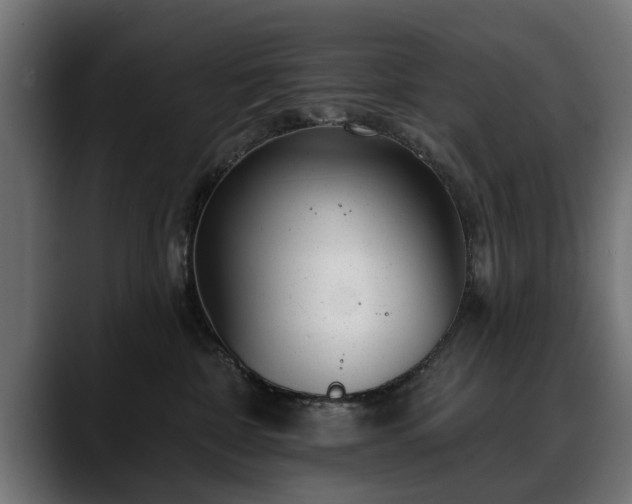 X0000088450332200705291517