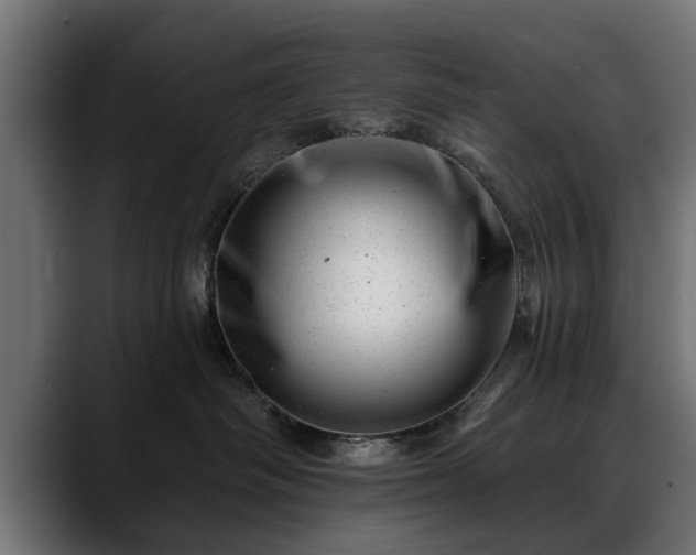 X0000088450334200705291517