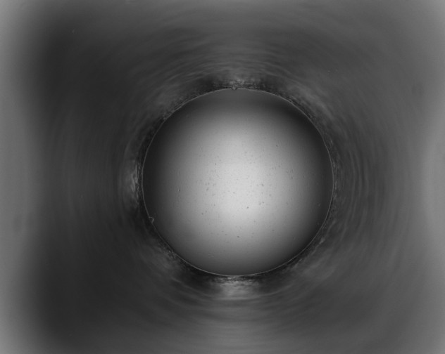 X0000088450336200705291517