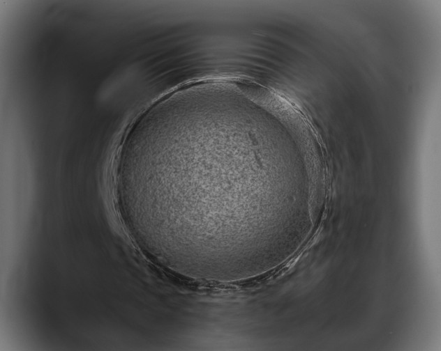 X0000088450337200705291516