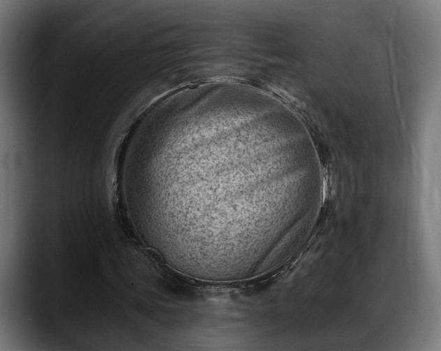 X0000088450339200705291516