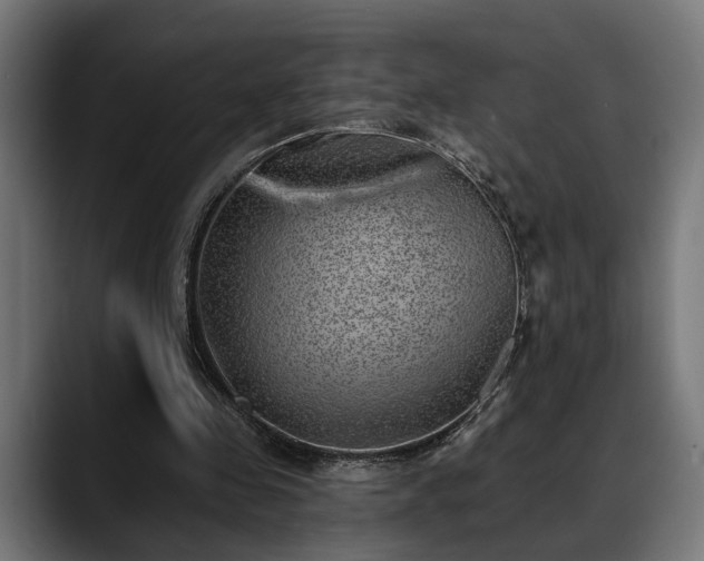 X0000088450341200705291516