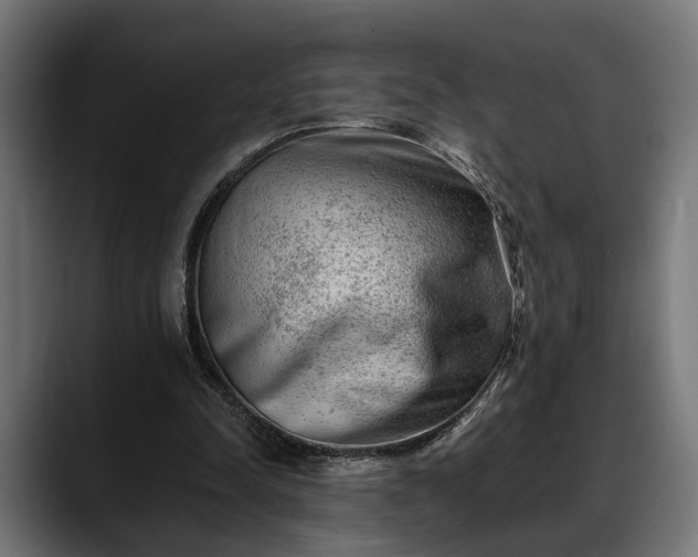 X0000088450342200705291516