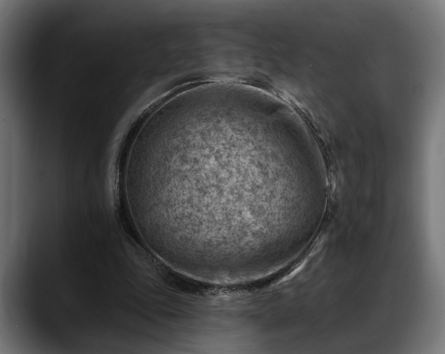 X0000088450343200705291516