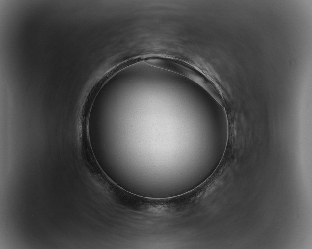 X0000088450344200705291516