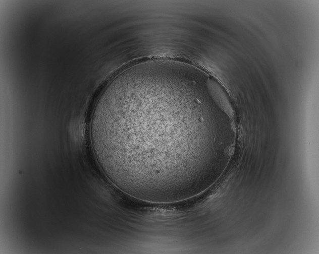 X0000088450347200705291516