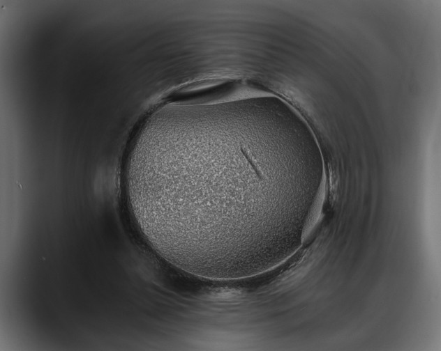 X0000088450348200705291516