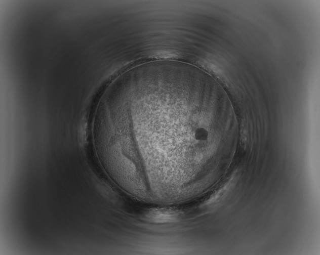 X0000088450351200705291516