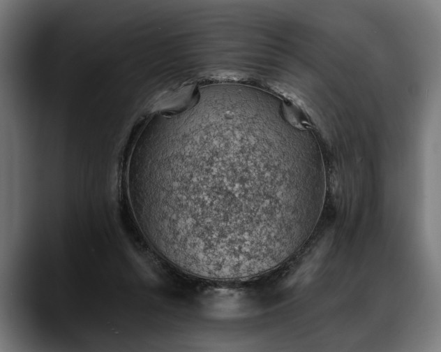 X0000088450352200705291516